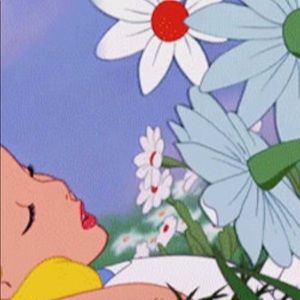 “Curiouser and curiouser!”